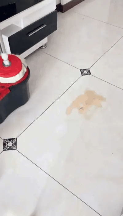ممسحة تنظيف دوارة 360 درجة
